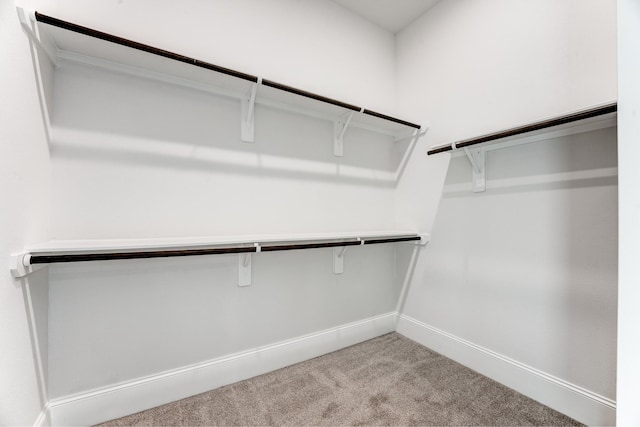 spacious closet with carpet flooring