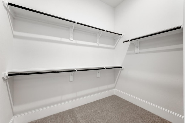 spacious closet with carpet flooring