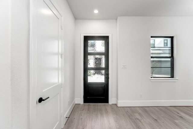 foyer featuring plenty of natural light and light wood-type flooring