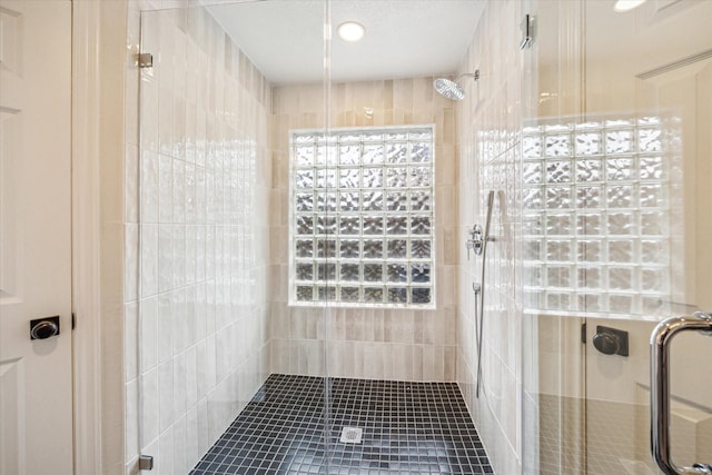 bathroom featuring a shower with shower door