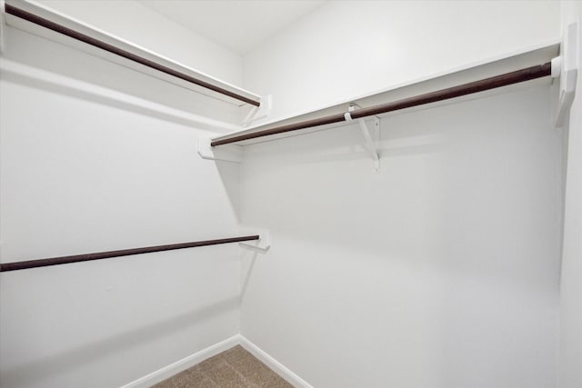 spacious closet with carpet floors