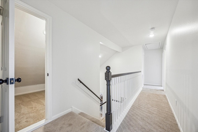 stairs featuring carpet flooring