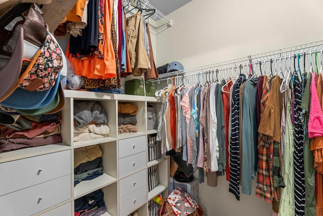 view of spacious closet