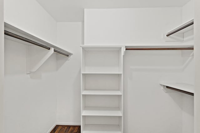 spacious closet featuring dark wood-type flooring