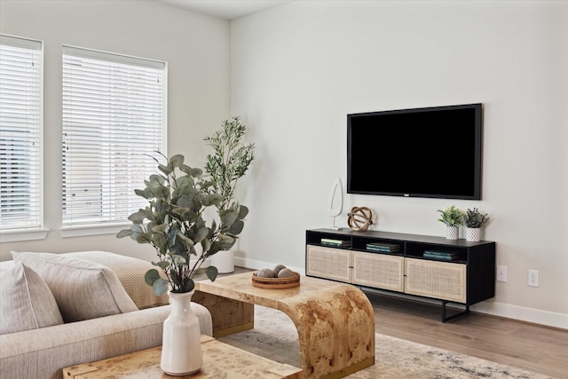 living room with a healthy amount of sunlight and wood-type flooring