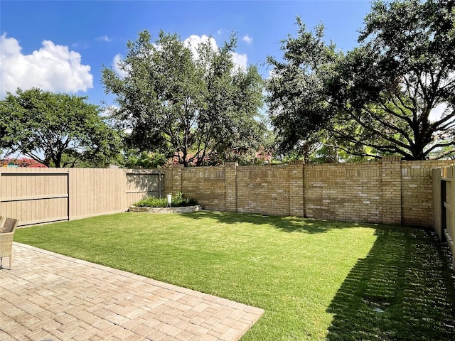 view of yard featuring a patio