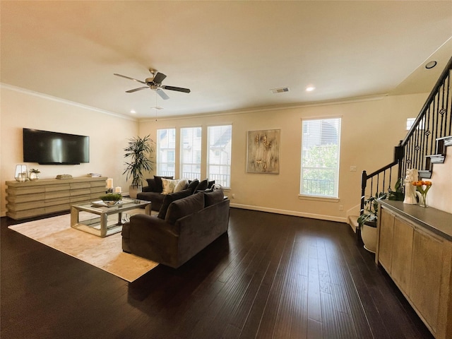 living room featuring crown molding, dark wood-type flooring, and ceiling fan