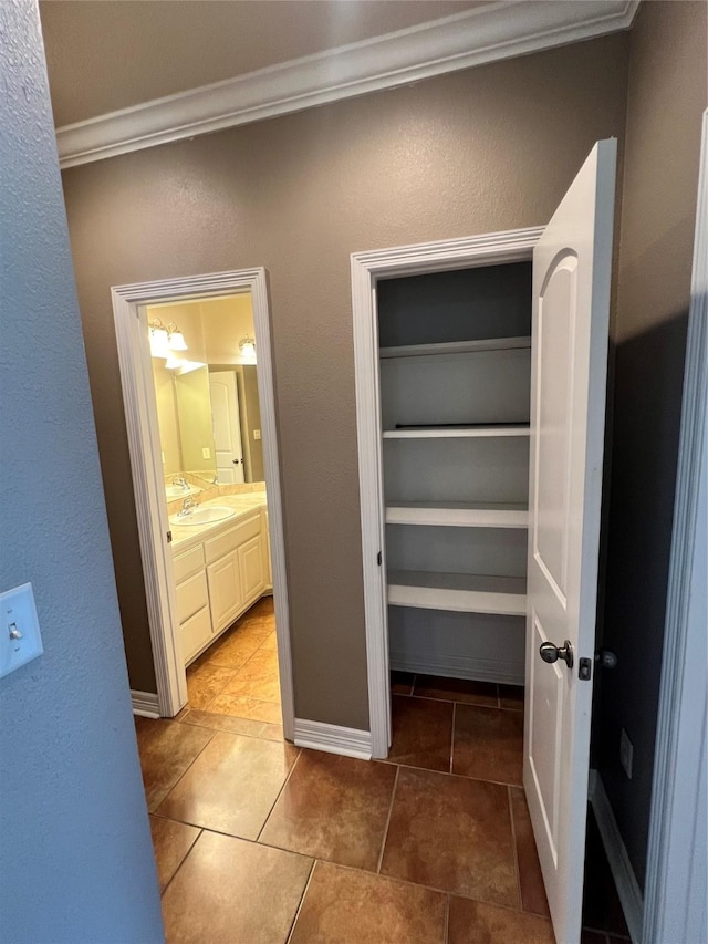 closet with sink