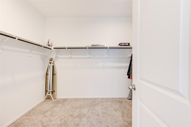 spacious closet with light colored carpet