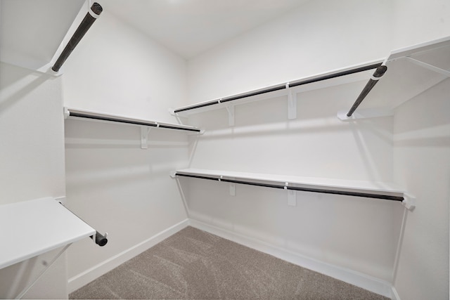 spacious closet with carpet flooring