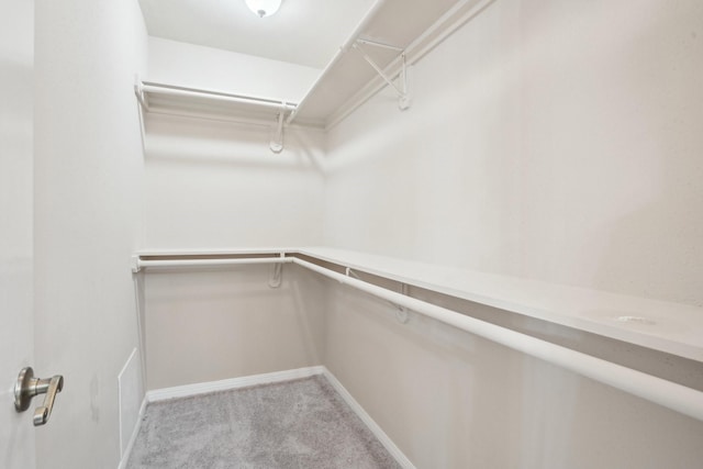 walk in closet with light colored carpet