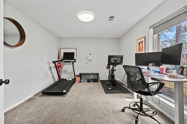 office featuring carpet floors and a textured ceiling