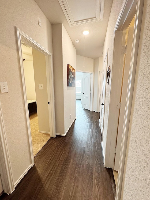 hallway featuring dark wood-type flooring