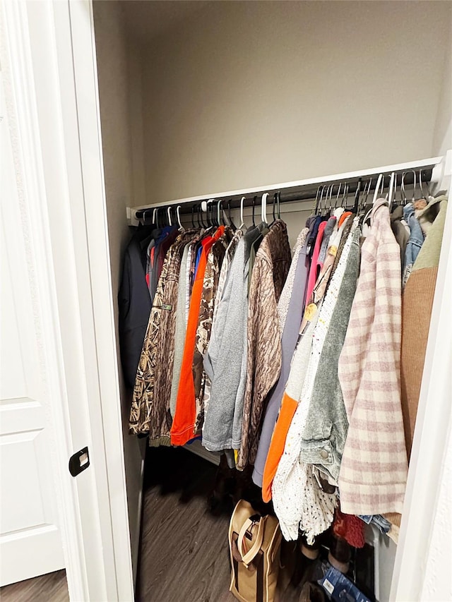 view of closet