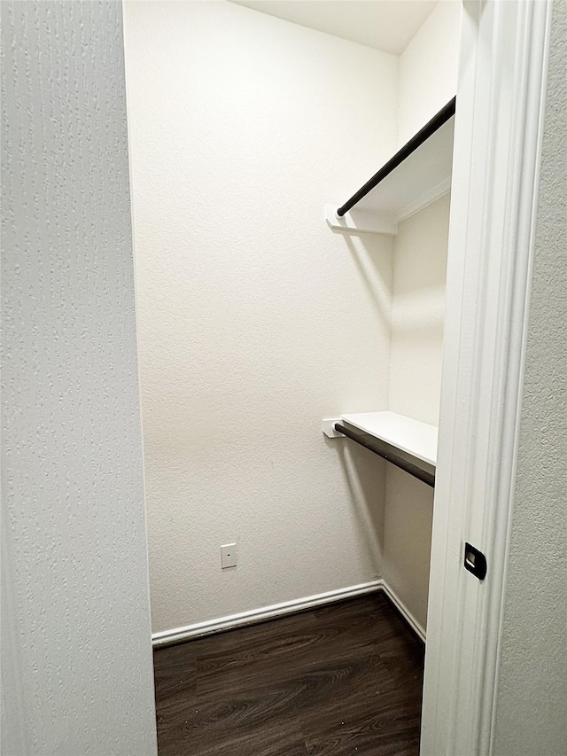 walk in closet with hardwood / wood-style flooring