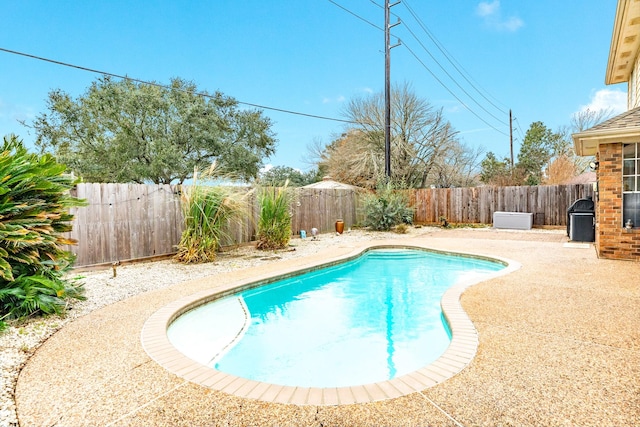 view of pool featuring a patio area