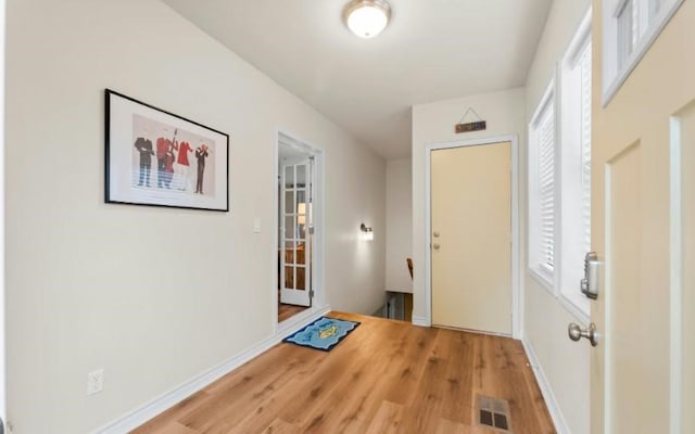 entryway featuring wood-type flooring and a healthy amount of sunlight