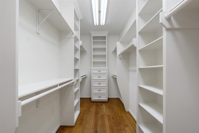 spacious closet with dark hardwood / wood-style flooring