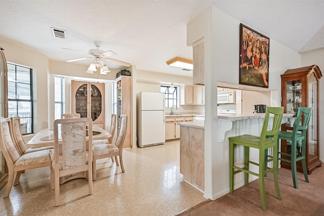 dining space with sink, a textured ceiling, and ceiling fan