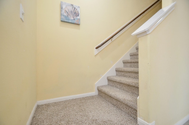 stairs featuring carpet floors