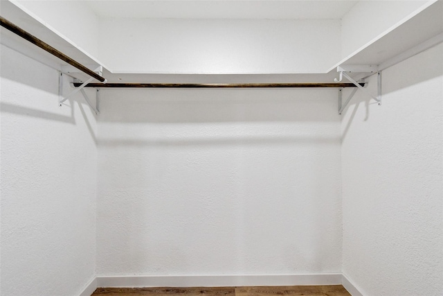 spacious closet featuring hardwood / wood-style flooring