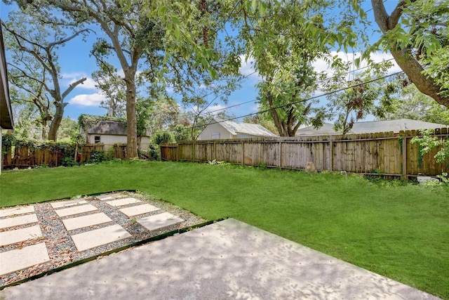 view of yard featuring a patio area