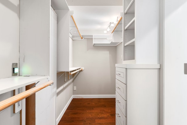 spacious closet featuring dark wood-type flooring