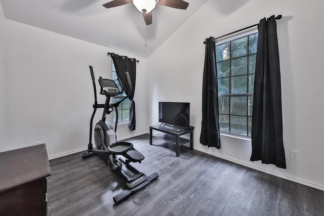 exercise area featuring dark wood-type flooring, ceiling fan, and vaulted ceiling