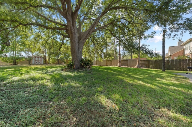 view of yard featuring a storage shed