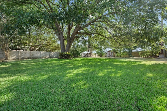 view of yard