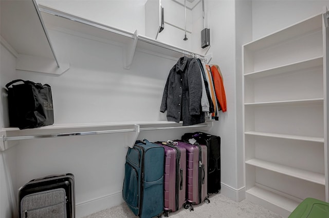 spacious closet featuring light carpet