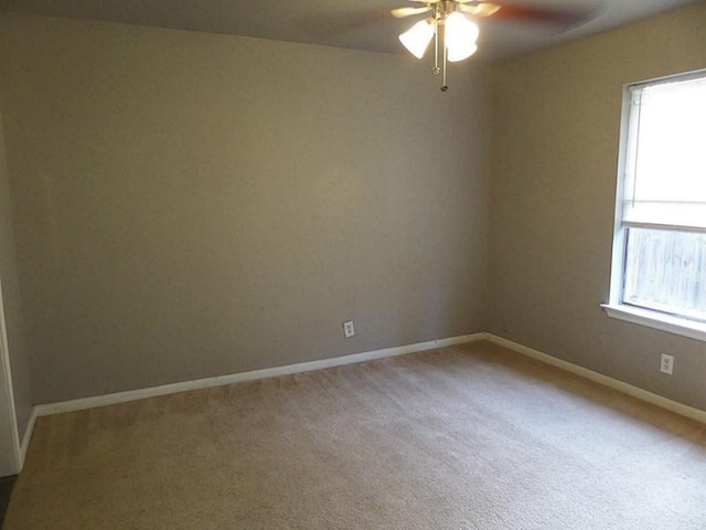 unfurnished room featuring a wealth of natural light, ceiling fan, and carpet flooring