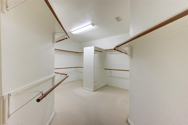 spacious closet with light carpet