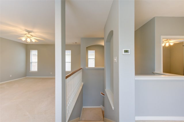 stairs with ceiling fan and carpet