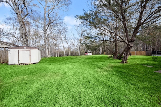 view of yard with a shed