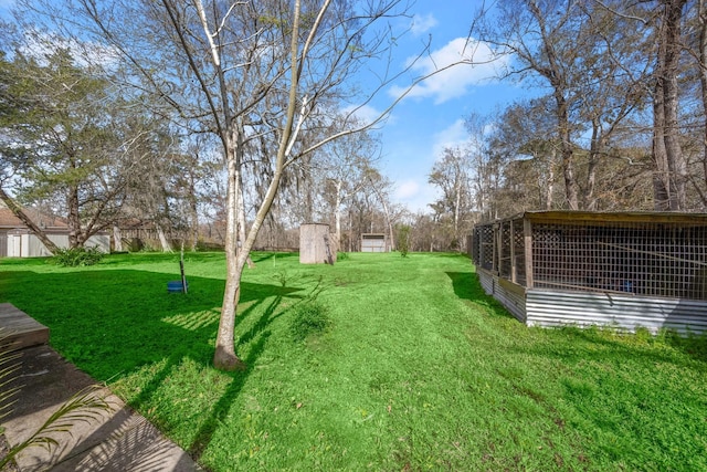 view of yard featuring an outbuilding