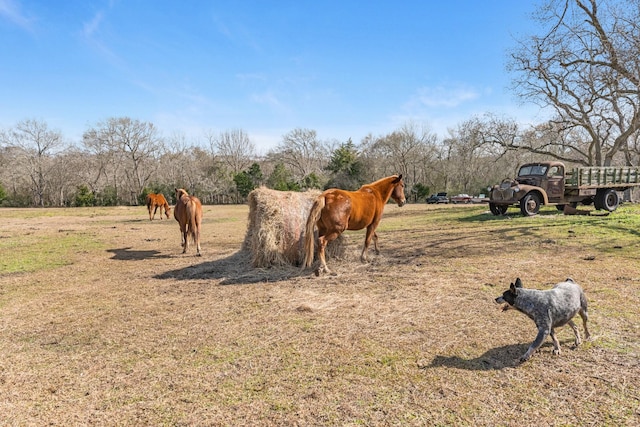 view of yard featuring a rural view