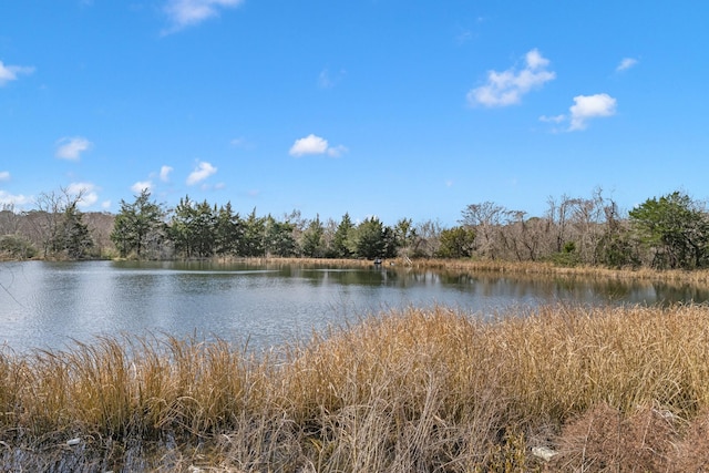 property view of water