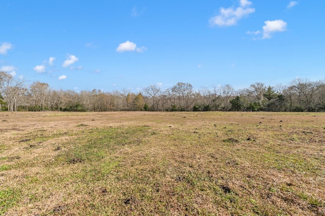 view of nature featuring a rural view