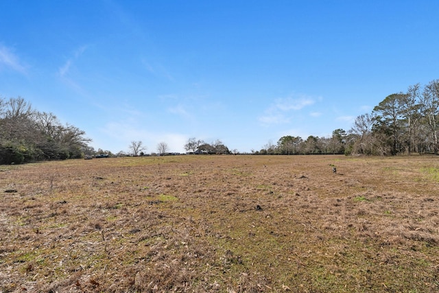 view of local wilderness featuring a rural view