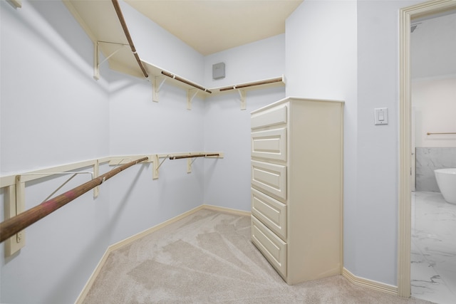 spacious closet featuring light colored carpet