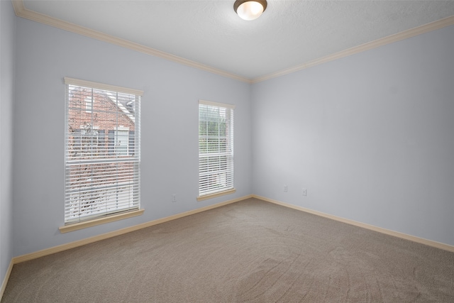 empty room with ornamental molding, carpet floors, and a textured ceiling