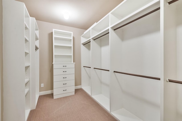 spacious closet featuring light colored carpet