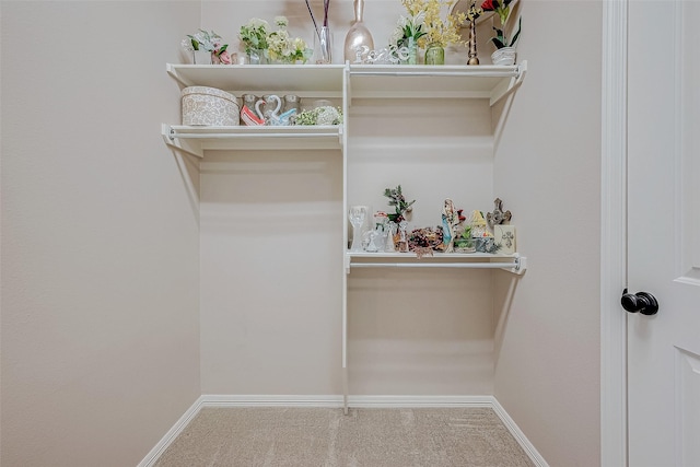 spacious closet with carpet floors