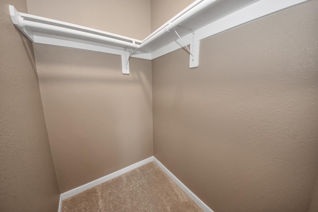 spacious closet featuring carpet flooring