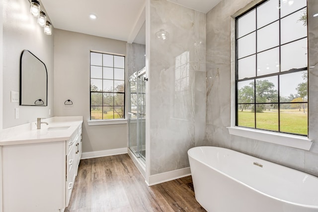 bathroom featuring a healthy amount of sunlight, vanity, shower with separate bathtub, and wood-type flooring