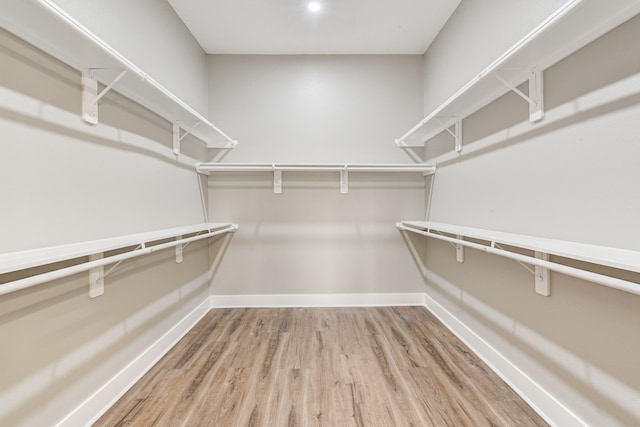 walk in closet featuring wood-type flooring