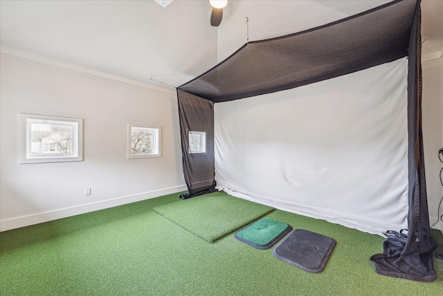 interior space featuring crown molding, golf simulator, and carpet