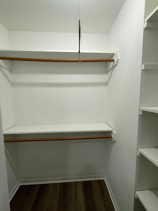 walk in closet with dark wood-type flooring