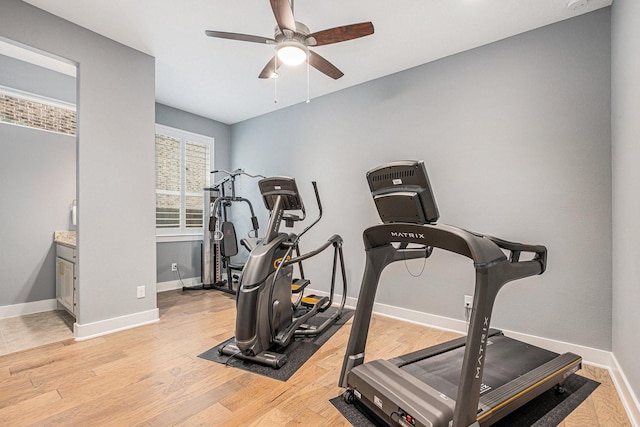 exercise room featuring ceiling fan and light hardwood / wood-style floors